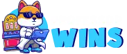 Professor Wins Casino
